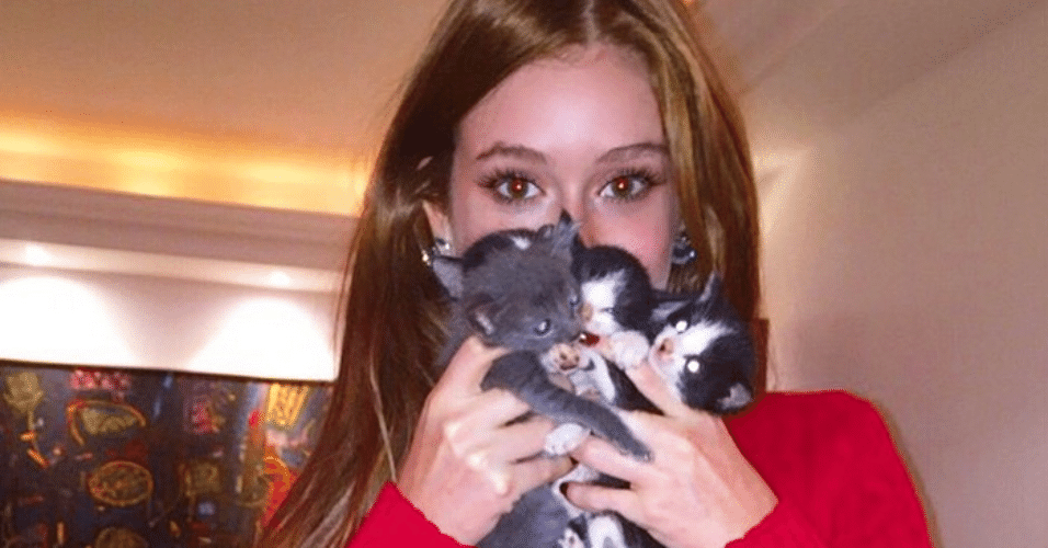 16.jun.2015 - Marina Ruy Barbosa ficou muito sensibilizada ao avistar gatinhos abandonados na rua, recolheu e anunciou a adoção em seu Instagram, na madrugada desta terça-feira