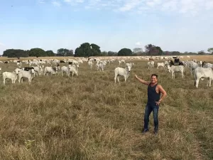 Leonardo: como é a fazenda Talismã, de onde trabalhadores foram resgatados