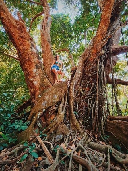 Giovanna Lancellotti em árvore gigante na Bahia - Reprodução/Instagram