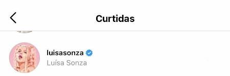 Luísa Sonza curte post de Whindersson Nunes - Reprodução/Instagram - Reprodução/Instagram