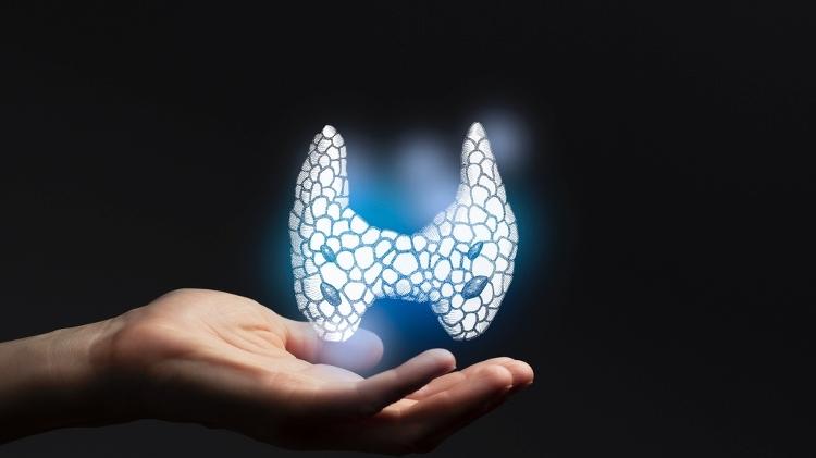 Tireoide, endocrinologia - iStock - iStock