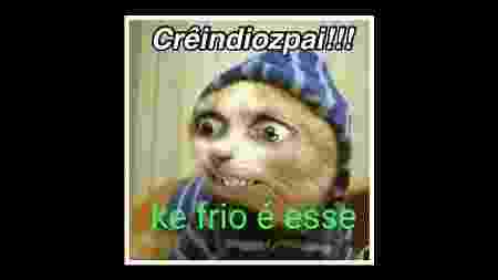 Chega de tristeza! Vem ver os memes - BOL Memes