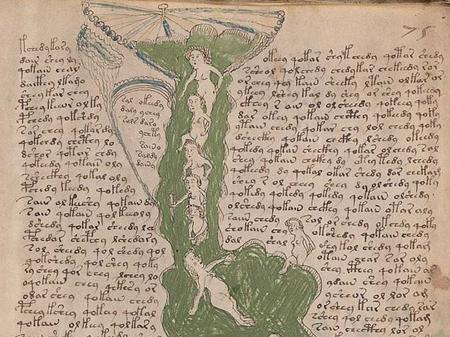 Imagem do Manuscrito Voynich - Reprodução