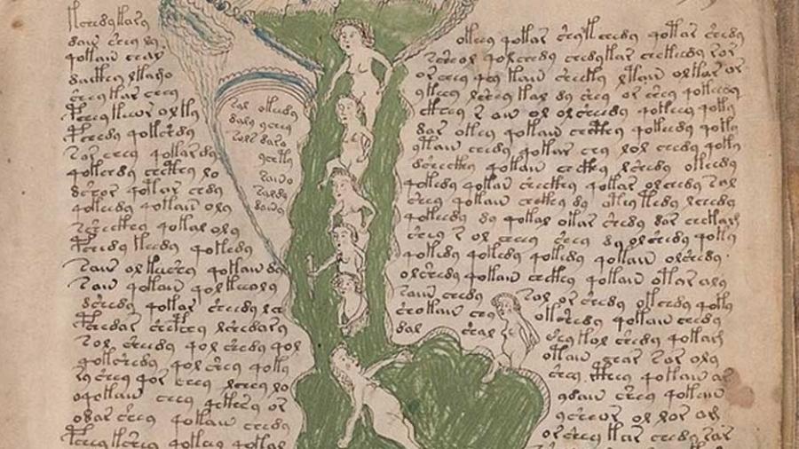 Imagem do Manuscrito Voynich - Reprodução