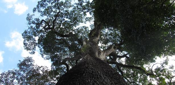 Acompanhe a emocionante cerimônia de encerramento das Olimpíadas 2024 em Paris