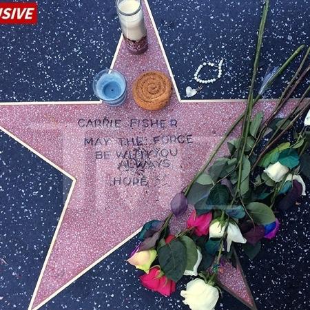 Fãs criam estrela da fama improvisada para a atriz Carrie Fisher, que morreu nesta terça (27) - Reprodução/TMZ