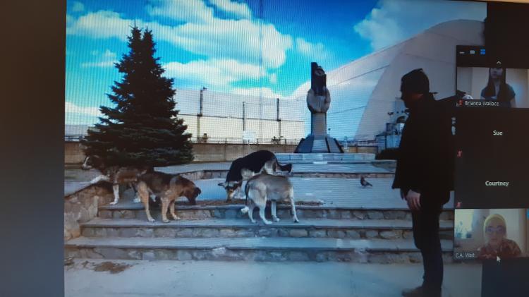 Cães se alimentam em frente ao monumento em homenagem aos heróis de Chernobyl - Juliana Simon/UOL