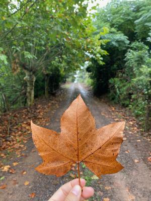 Encontro com a natureza - Arquivo pessoal  - Arquivo pessoal 