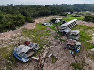 COP16 precisa acelerar ações de defesa da biodiversidade da Amazônia