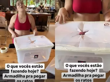 Viih Tube mostra armadilha para pegar ratos após ter casa infestada