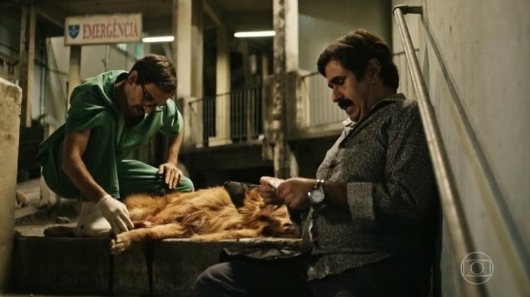 Evandro (Júlio Andrade) opera cachorro em "Sob Pressão" - Reprodução/TV Globo - Reprodução/TV Globo