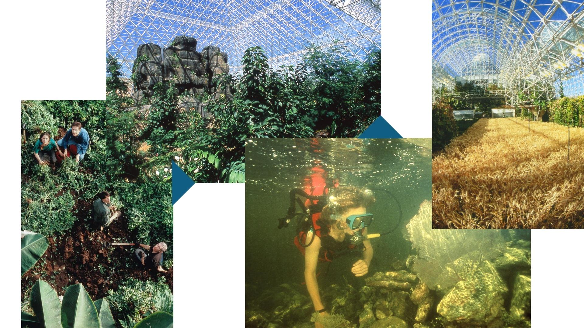 Fotos de arquivo cortesia de Ecotechnics.edu