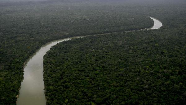 Vista aérea da floresta amazônica no Pará