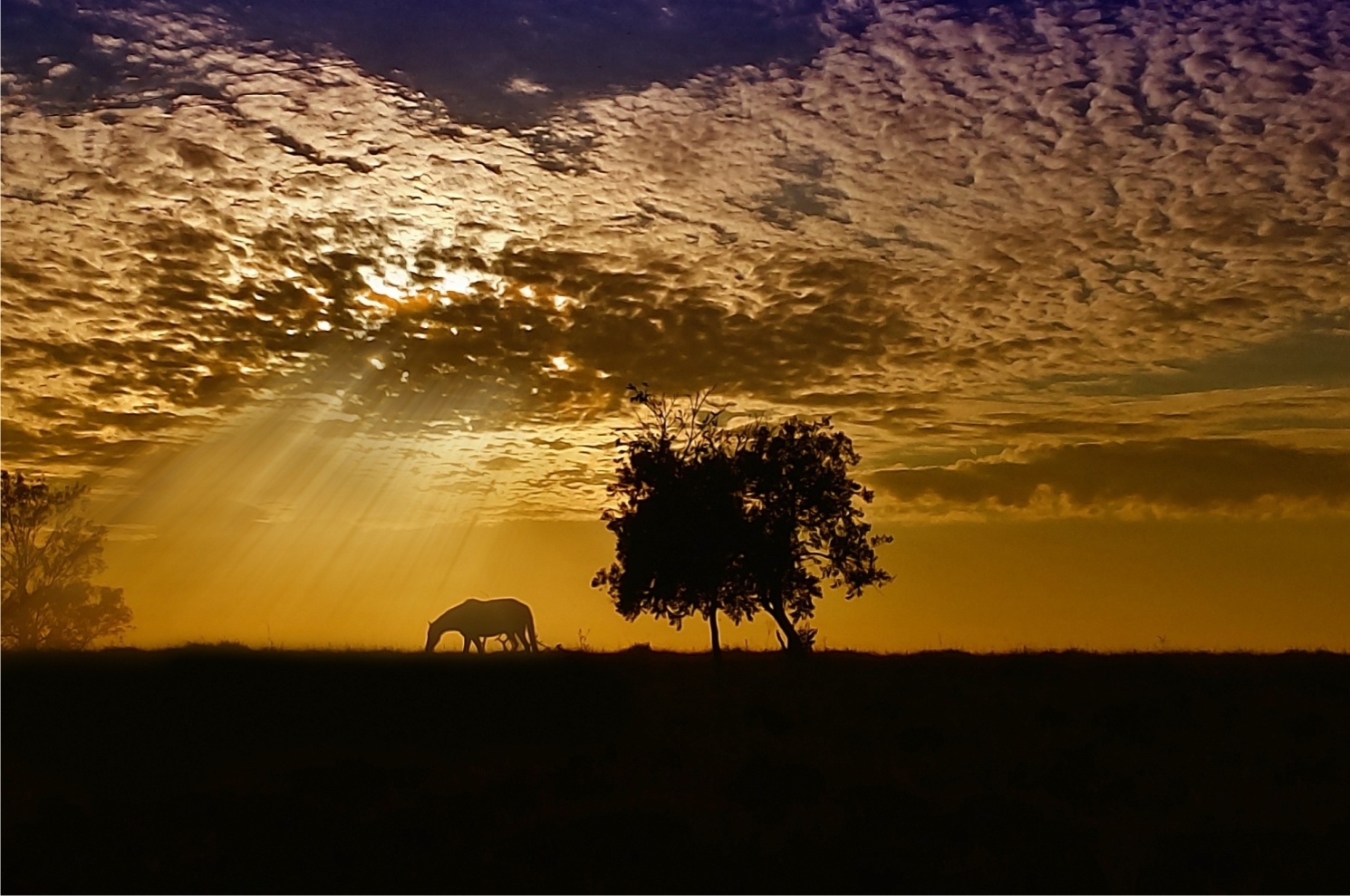 Foto de Saulo Cézar de Almeida, em SP - Saulo Cézar de Almeida