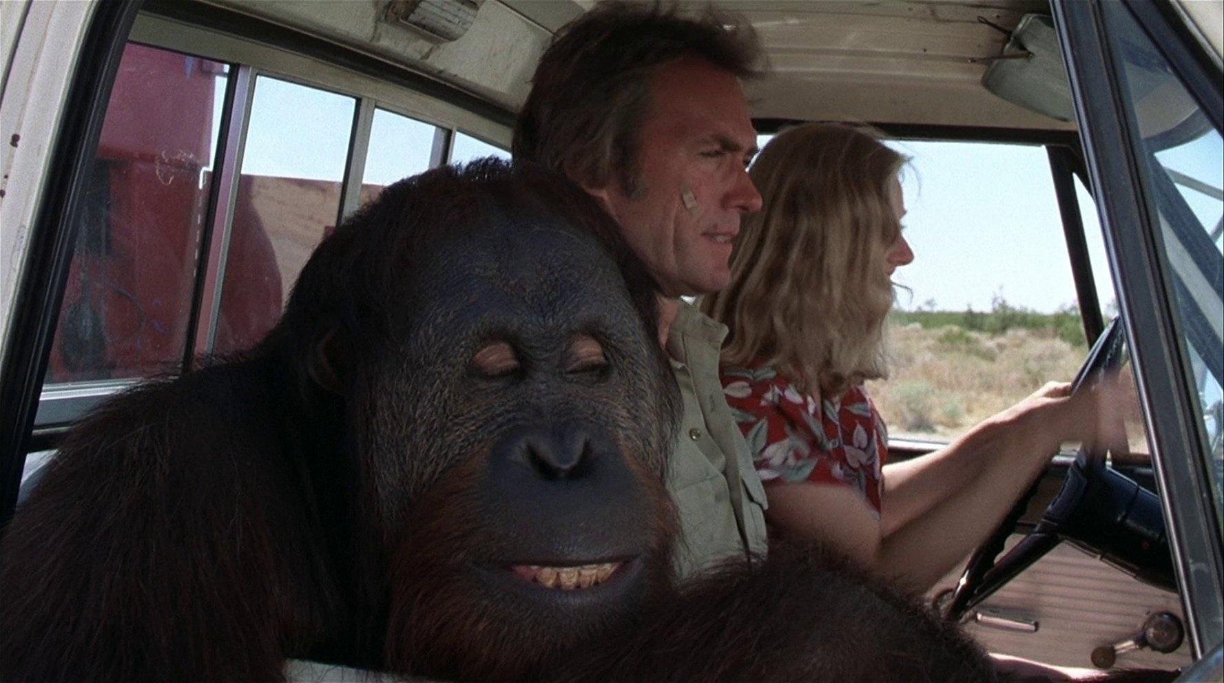 Clint Eastwood, Sondra Locke e o Orangotango Manis em cena em "Punhos de Aço - Um Lutador de Rua" (1980) - Divulgação