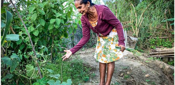 Ecoa | Terra Prometida:  comunidade do Rio vence fome com agricultura orgânica