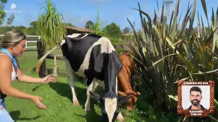 A Fazenda 2023: Kally se desespera com vaca e recebe ajuda - Reprodução/PlayPlus