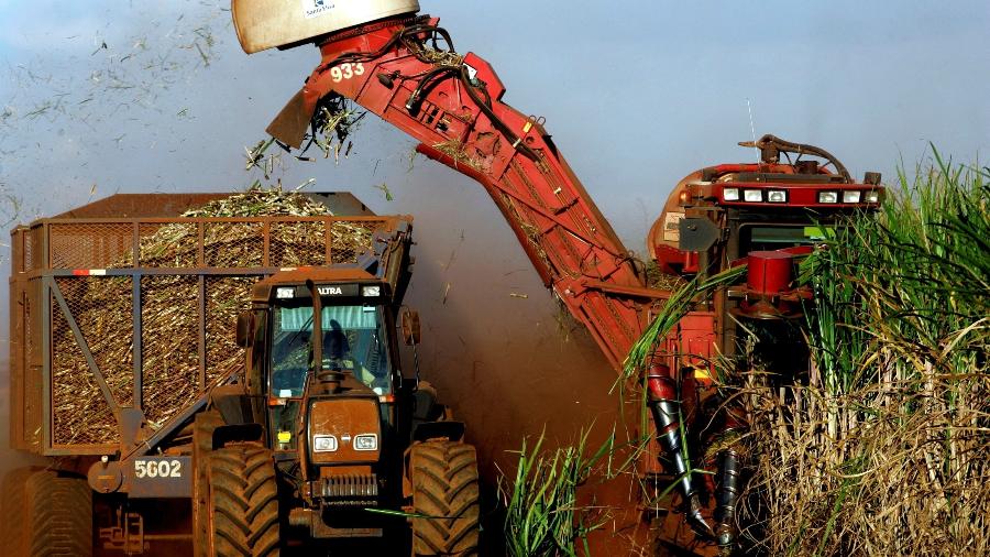 Uso do solo e produtividade são determinantes para saber se etanol é verde - Paulo Whitaker - 21.abr.2007/Reuters