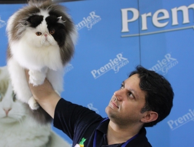Criador orgulhoso apresenta seu gato Persa em evento do Clube Brasileiro do Gato - Divulgação / Silvia Pratta