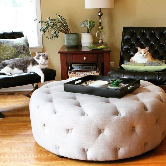"O príncipe e a princesa em seus tronos". A legenda feita pela dona, Jen Caputo, diz tudo: os bichanos são a cara da riqueza e do aconchego ao se refestelarem em uma potrona Barcelona (à esq.), de Mies van der Rohe, e nos chiques estofados de capitonê - Instagram/@jencaputomurphy