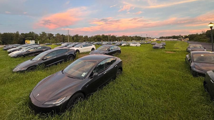 Carros novos da Tesla parados em terreno nos EUA