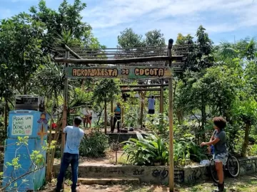 Agrofloresta comunitária no Rio sustenta pássaros, abelhas e pessoas