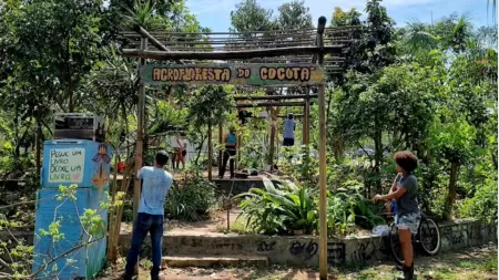 Foto cedida pelo Coletivo da Agrofloresta do Cocotá