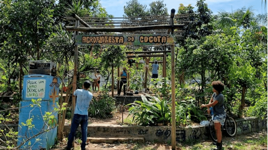 Construção de um pergolado na Agrofloresta do Cocotá em 2023