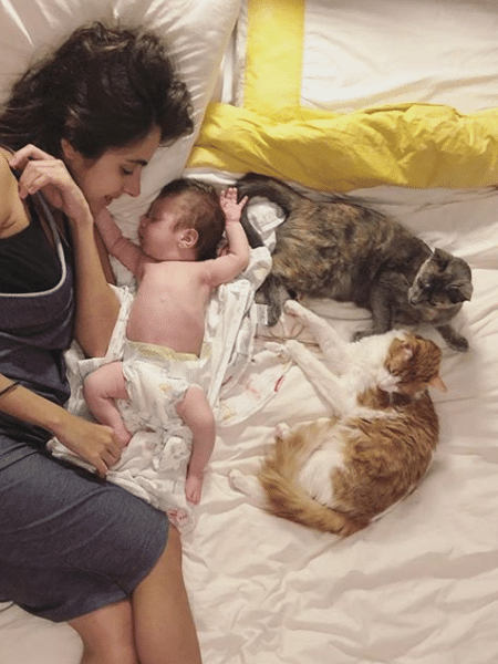 Giovanna Nader com a filha e os gatos - Reprodução/Instagram/giovannanader