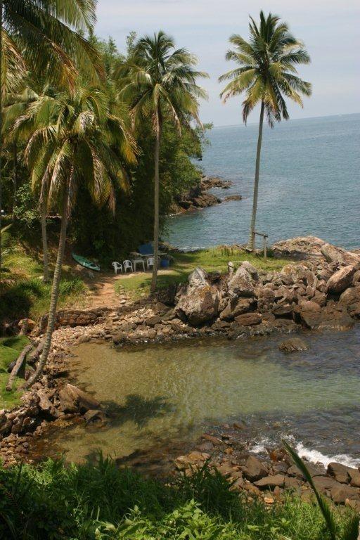 Conheça a vida do casal que deixou Miami para viver em uma ilha no Brasil - Arquivo pessoal