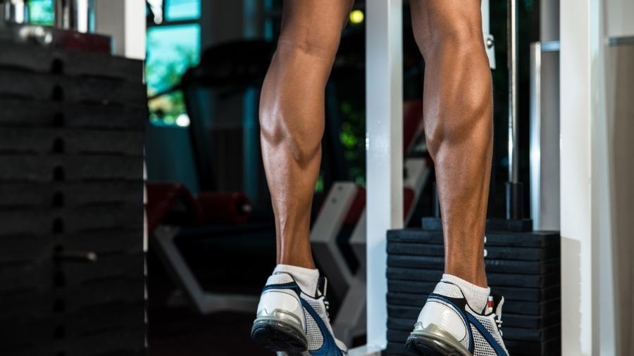 Academia Plena - CADEIRA EXTENSORA, EXCELENTE PARA O QUADRICEPS O treino de  perna é fundamental para todos os praticantes de musculação, existem  diversos exercícios para modelar sua perna e deixá-la grossa, mais