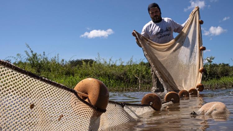 O pesquisador André L. Netto-Ferreira, da Universidade Federal do Rio Grande do Sul, manipulando rede de pesca para captura de peixes durante a Expedição Rivulídeos Amazônicos. 