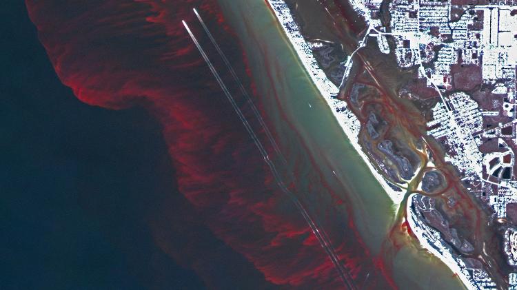 Imagem do Nasa Earth Observatory mostra maré vermelha na Flórida, em 26 de fevereiro de 2023