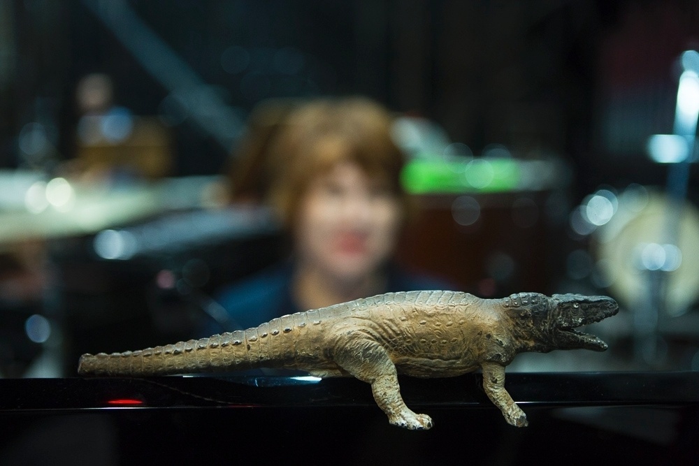 "O Homem dos Crocodilos", de Arrigo Barnabé - Heloísa Bortz