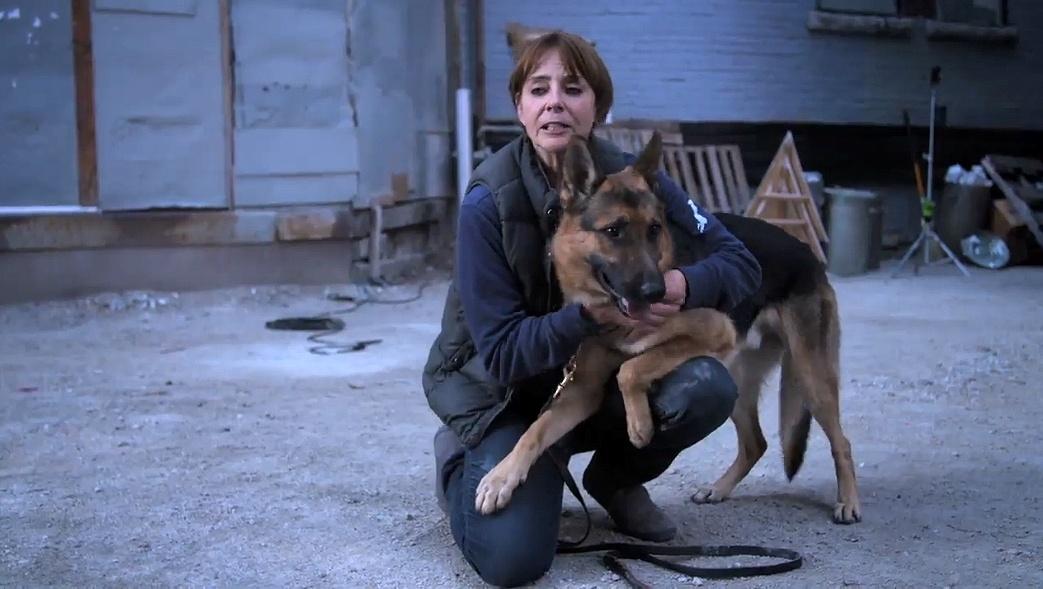 A treinadora Matilda de Cagny com um pastor alemão nos bastidores de "Quatro Vidas de um Cachorro" - Reprodução