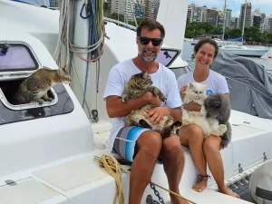 Casal que mora em um barco com 6 gatos diz que até os bichos adoram isso