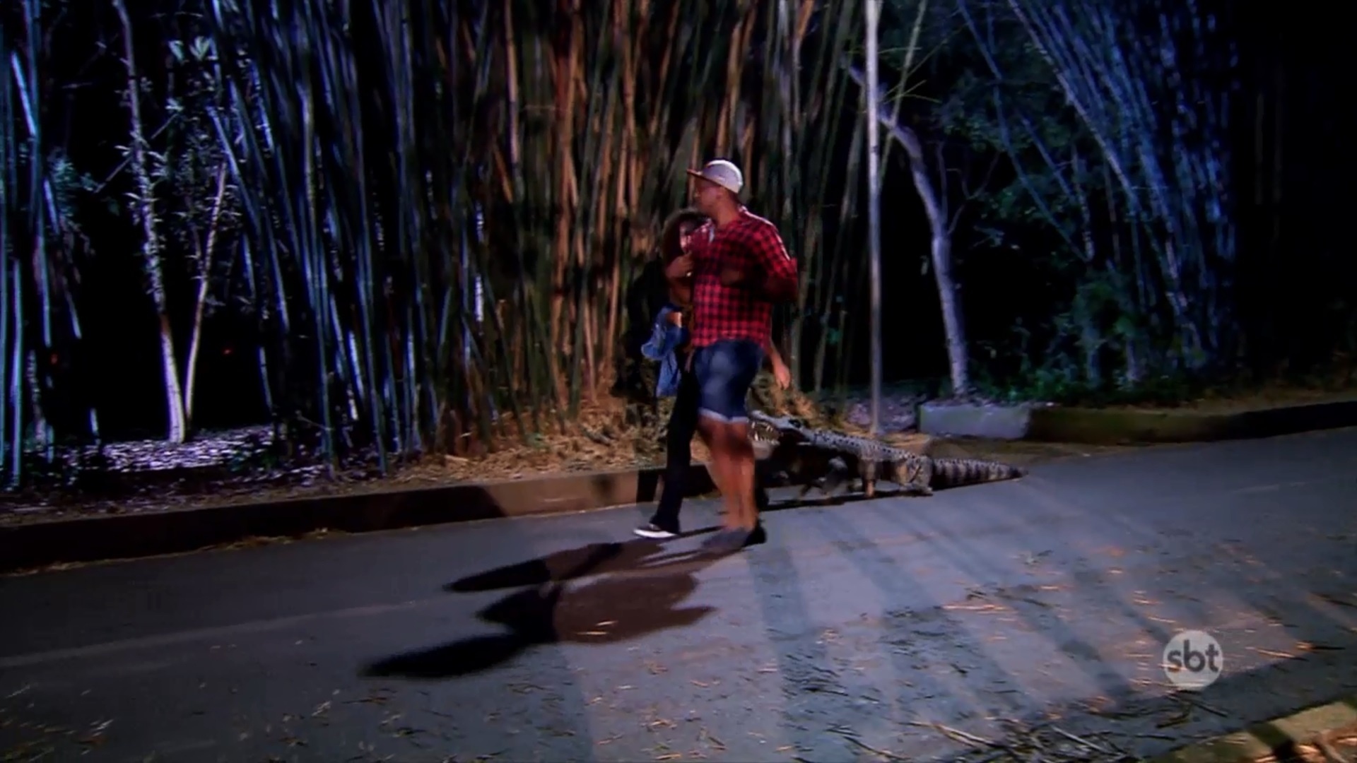 Cachorro se fantasia de jacaré e assusta "vítimas" em pegadinha do "Programa Silvio Santos", do SBT - Divulgação/SBT