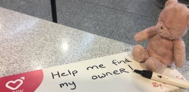 Teddy posa com uma placa com a frase "Ajudem-me a encontrar meu dono" - Reprodução/Facebook