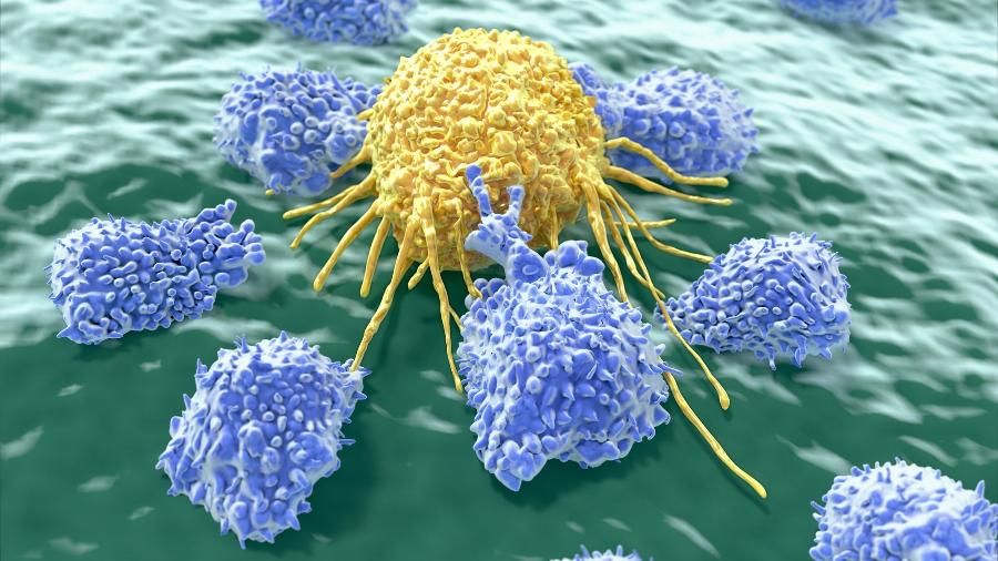 O novo tratamento altera os linfócitos T, que passam a atacar especificamente as células do câncer - iStock