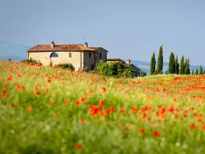 Sonha morar na Itália? Região da Toscana paga R$ 177 mil para você se mudar