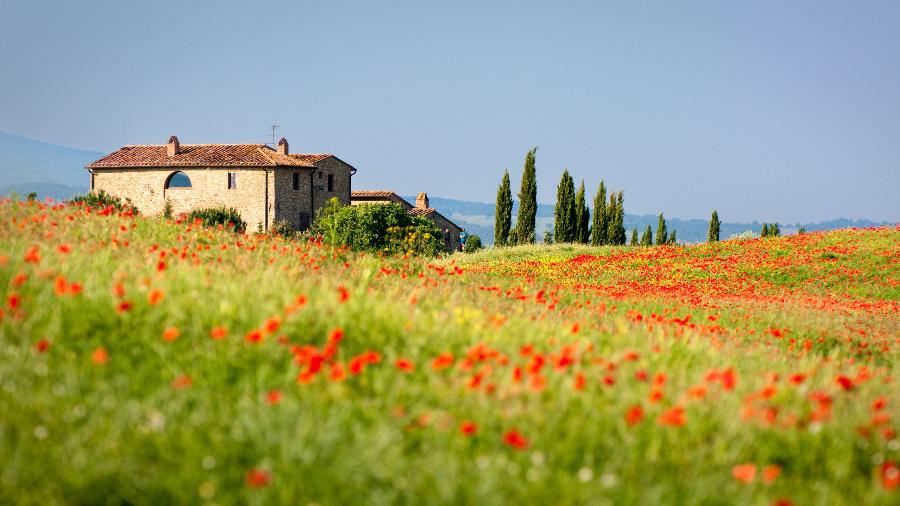 Paisagem florida na Toscana, Itália - kre_geg/Getty Images/iStockphoto