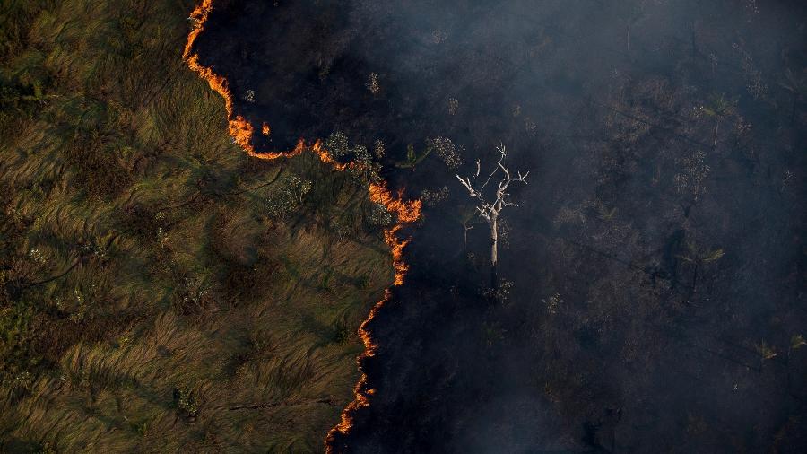 Queimada é vista do alto, em meio a área de floresta próximo a capital Porto Velho - Bruno Kelly/Amazônia Real