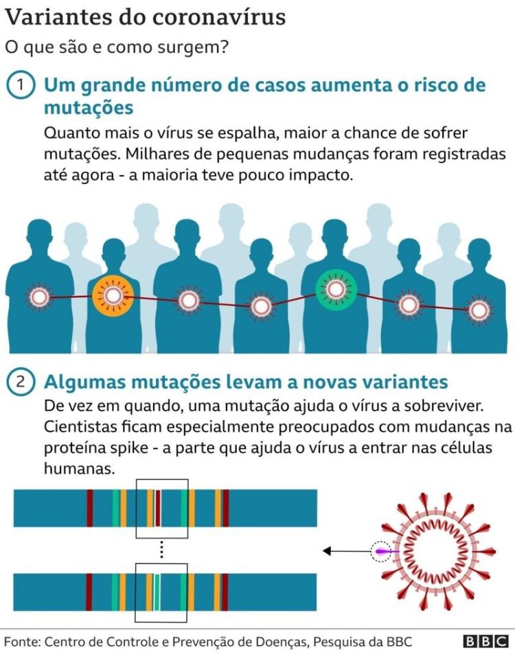 Ômicron: 4 gráficos para entender variante do coronavírus - 30/11/2021 ...