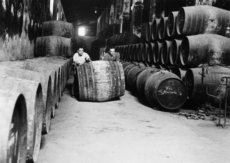 Barris de jerez na Bodega Sanchez Romate em Jerez de la Frontera, na Espanha - George Konig/Keystone Features/Getty Images - George Konig/Keystone Features/Getty Images