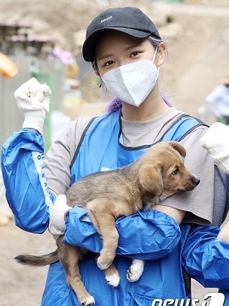Jeongyeon (TWICE) participa sempre que pode de ações em prol de cachorros abandonados na Coréia. Amor demais. 