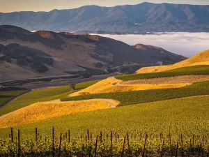 Da praia às vinícolas em meia hora: Santa Ynez é um tesouro da Califórnia