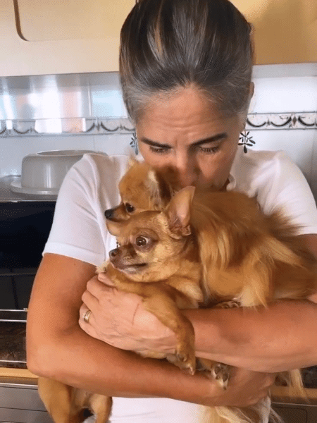 Glória Pires faz carinho em cachorros de estimação em vídeo divertido com Cleo - Reprodução/Instagram/@cleo