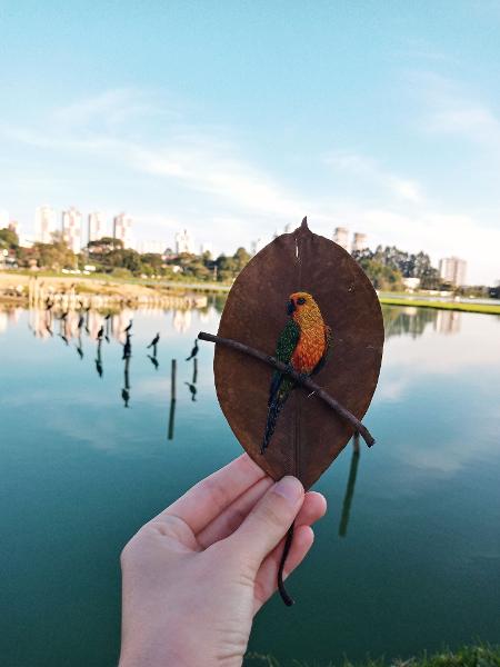 Registro ambientalizado do trabalho da artista - Arquivo Pessoal - Arquivo Pessoal