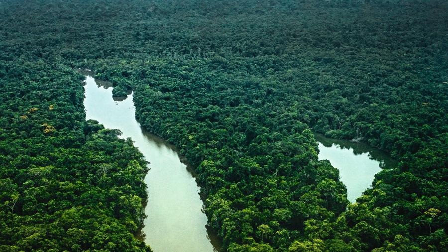 Vista aérea da Reserva Extrativista Riozinho do Anfrísio na Terra do Meio, Amazônia - Lilo Clareto/Divulgação