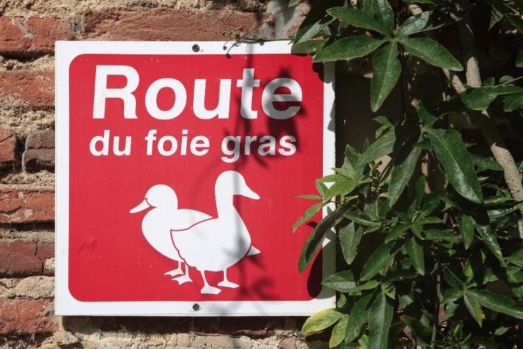 A sign marks the foie gras route in France - Getty Images - Getty Images